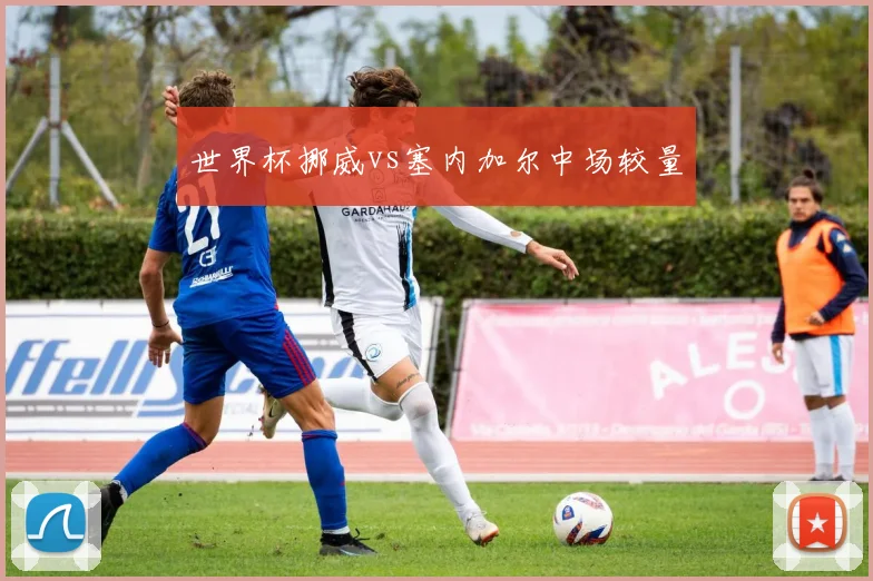 世界杯挪威vs塞内加尔中场较量