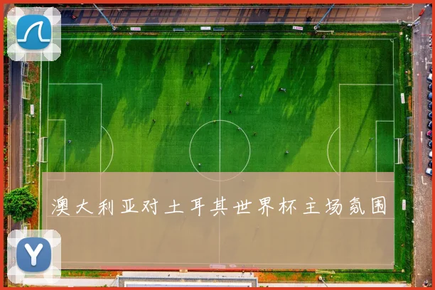 澳大利亚对土耳其世界杯主场氛围