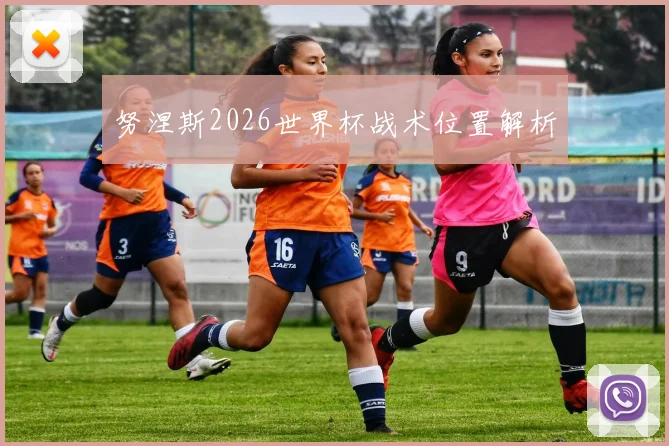 努涅斯2026世界杯战术位置解析