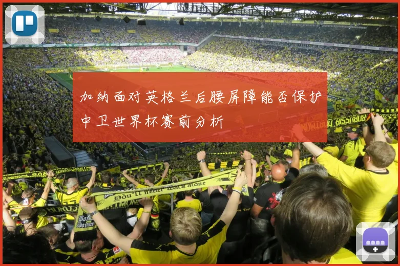 加纳面对英格兰后腰屏障能否保护中卫世界杯赛前分析