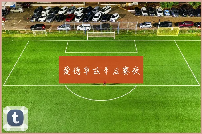 爱德华兹季后赛夜