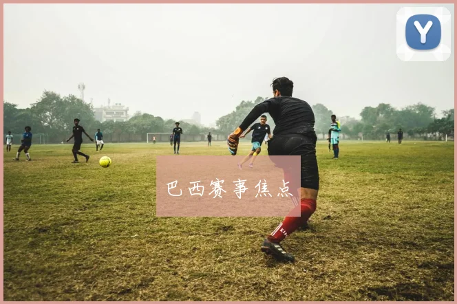 巴西赛事焦点