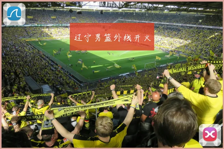 辽宁男篮外线开火