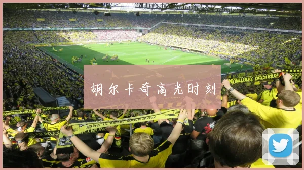 胡尔卡奇高光时刻