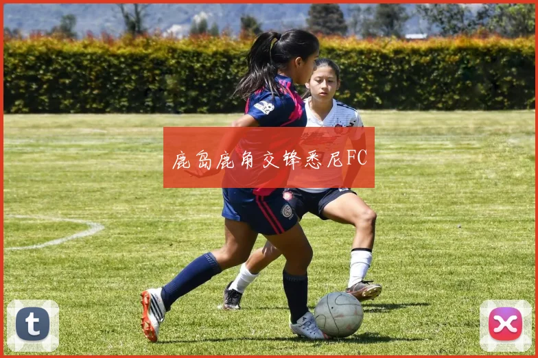 鹿岛鹿角交锋悉尼FC