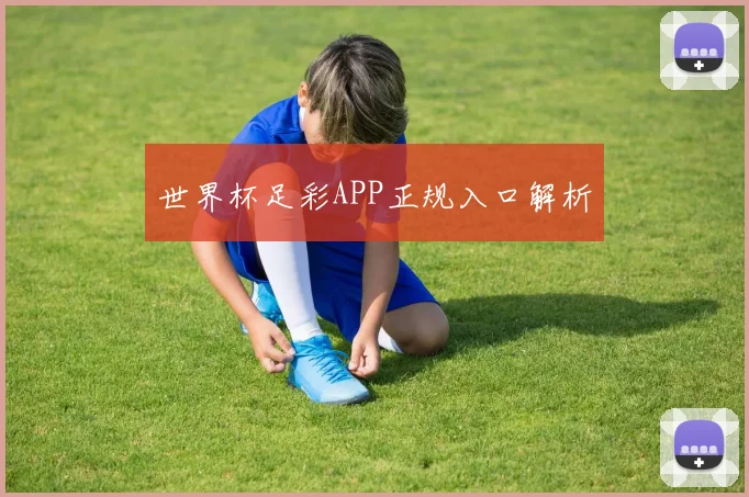 世界杯足彩APP正规入口解析