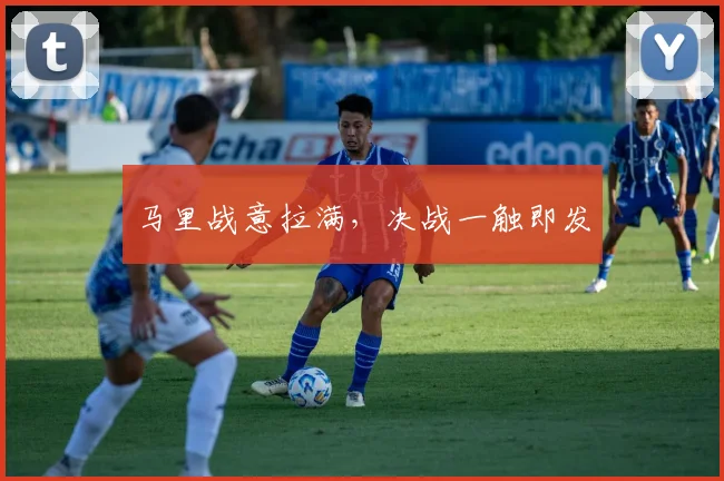 马里战意拉满，决战一触即发