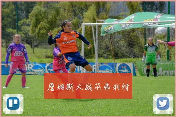 詹姆斯大战范弗利特