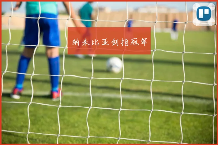 纳米比亚剑指冠军