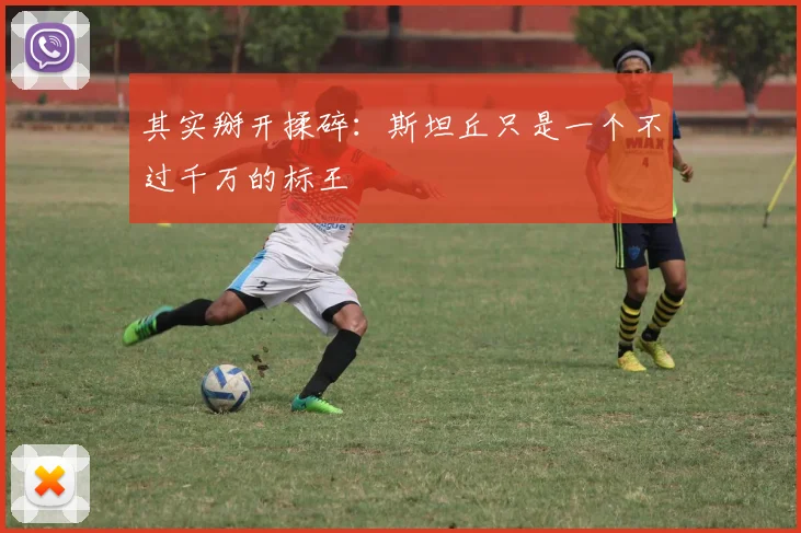 其实掰开揉碎：斯坦丘只是一个不过千万的标王