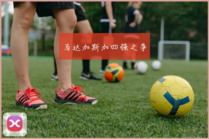 马达加斯加四强之争