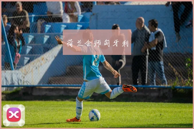 荷兰会师匈牙利