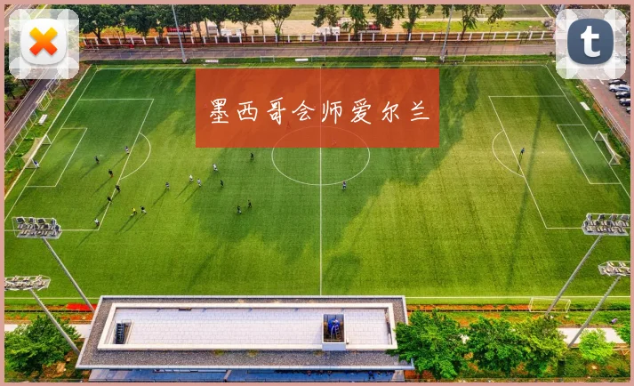 墨西哥会师爱尔兰
