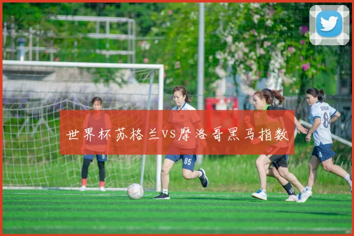 世界杯苏格兰vs摩洛哥黑马指数