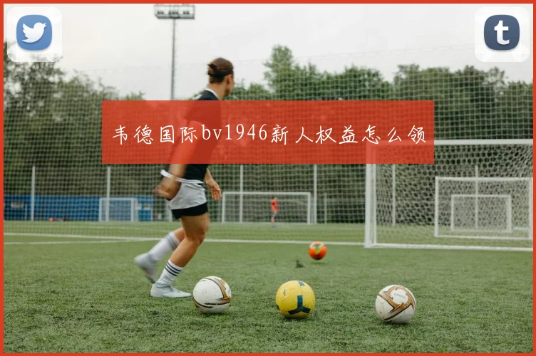 韦德国际bv1946新人权益怎么领