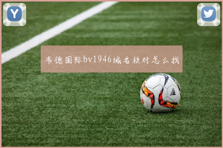 韦德国际bv1946域名核对怎么找